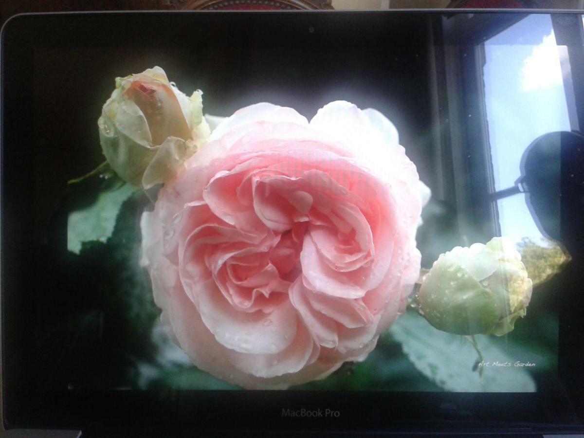 La Villa Des Roses Durbuy Zewnętrze zdjęcie
