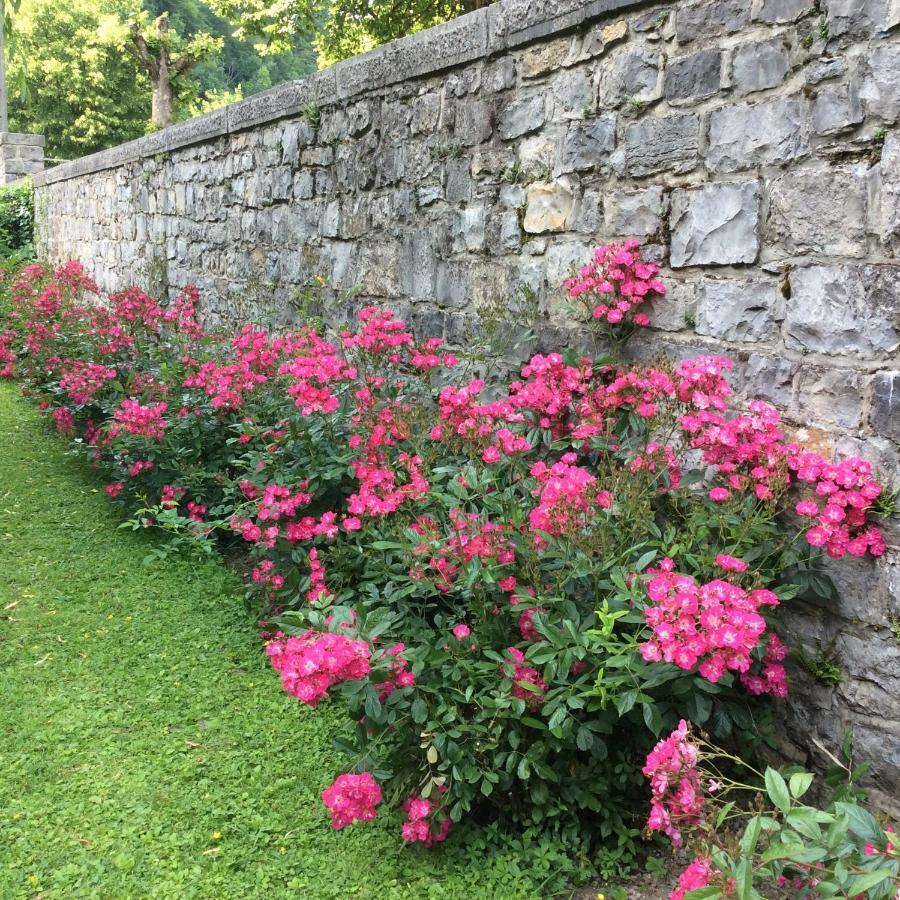La Villa Des Roses Durbuy Zewnętrze zdjęcie