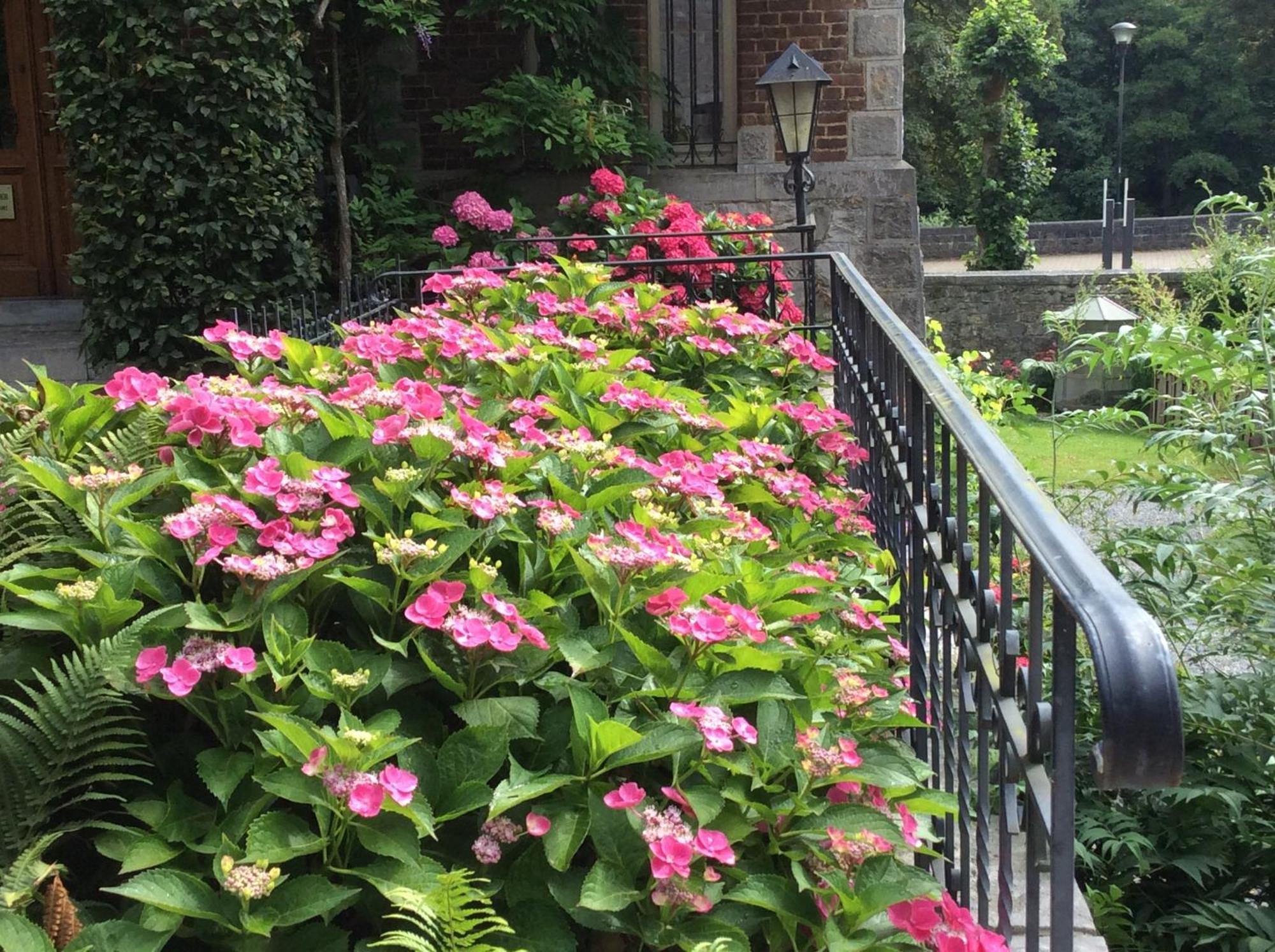 La Villa Des Roses Durbuy Zewnętrze zdjęcie